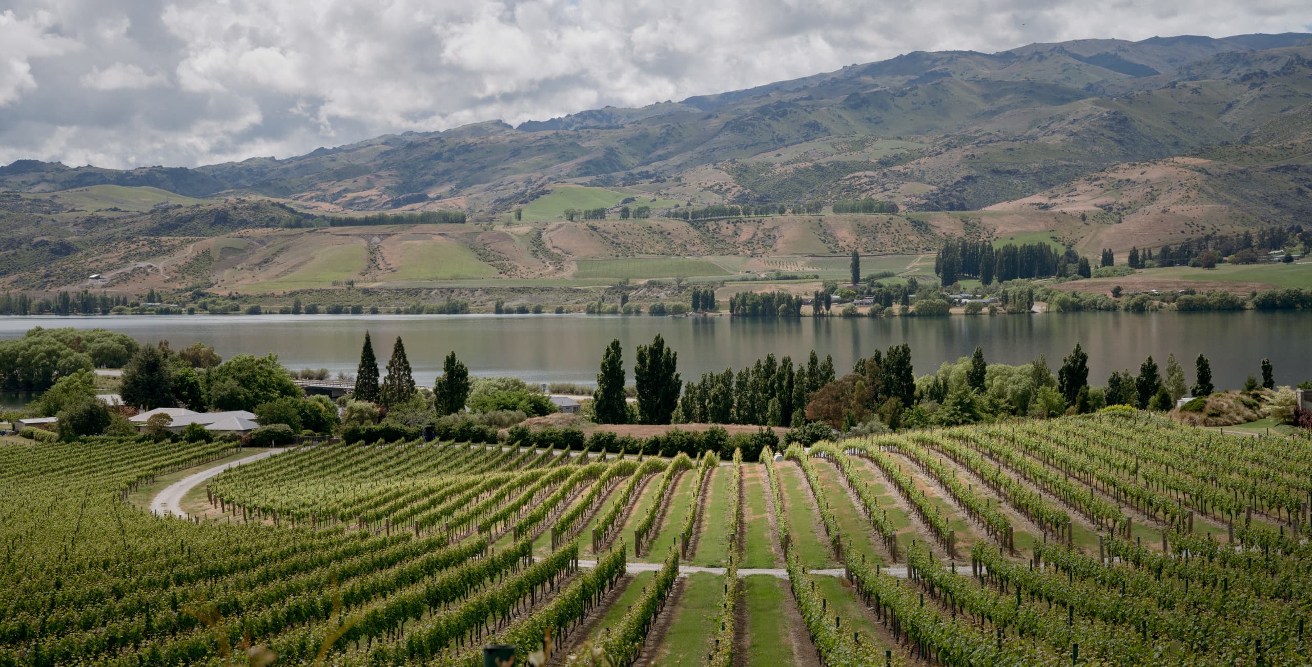 Mohawk Hill, Central Otago