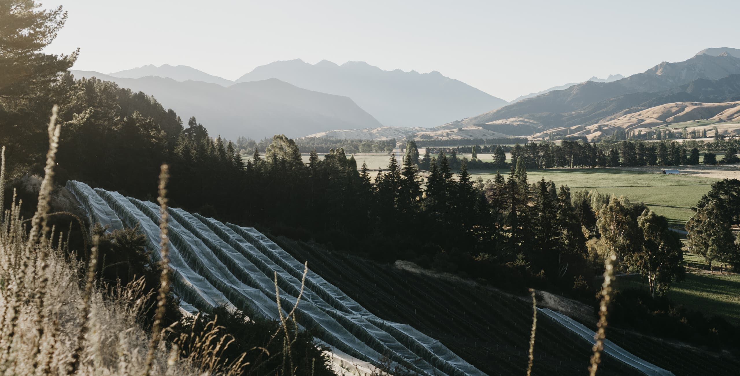 Mt Maude, Wanaka